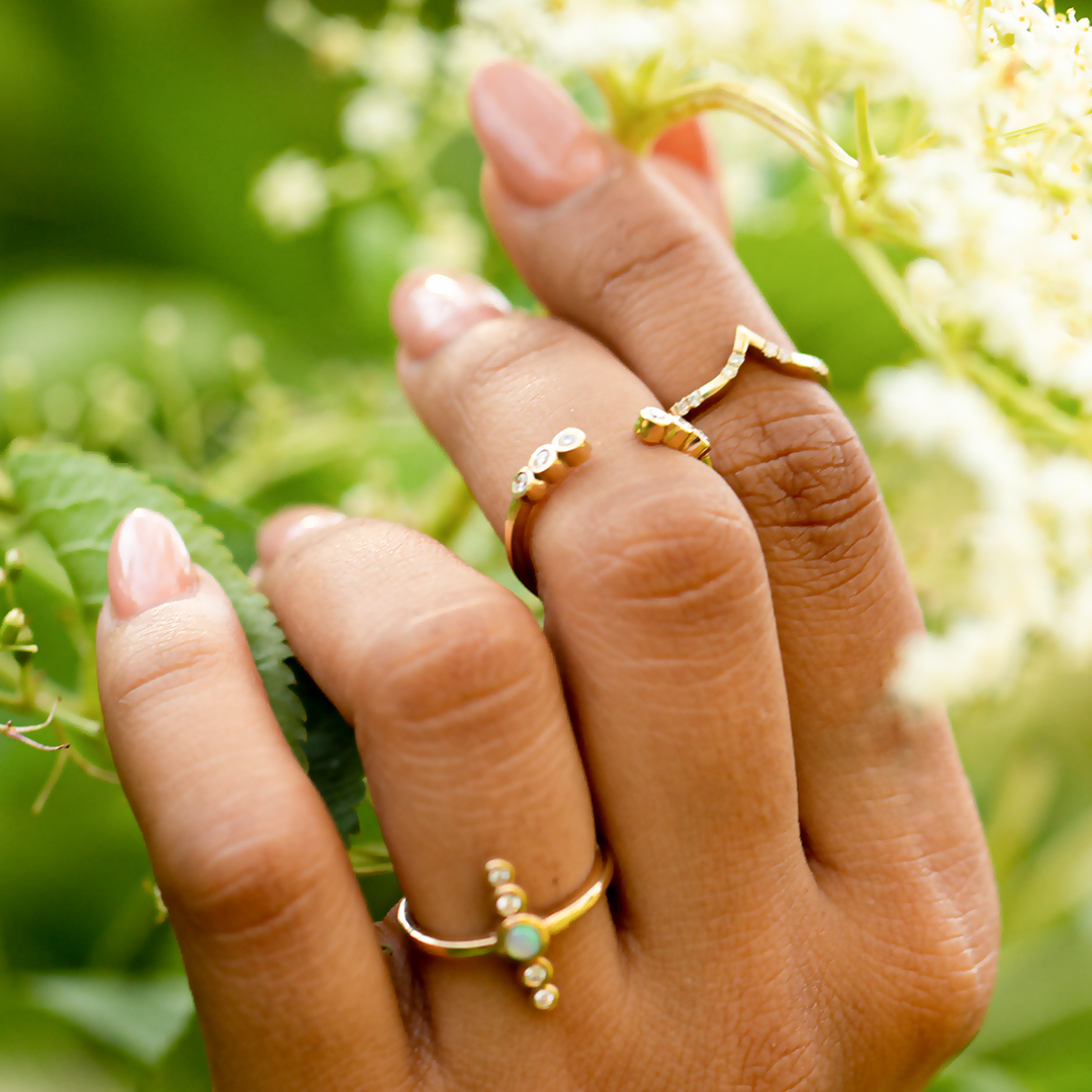 GAIA Collection THEIA PHOIBE ATLAS Product
