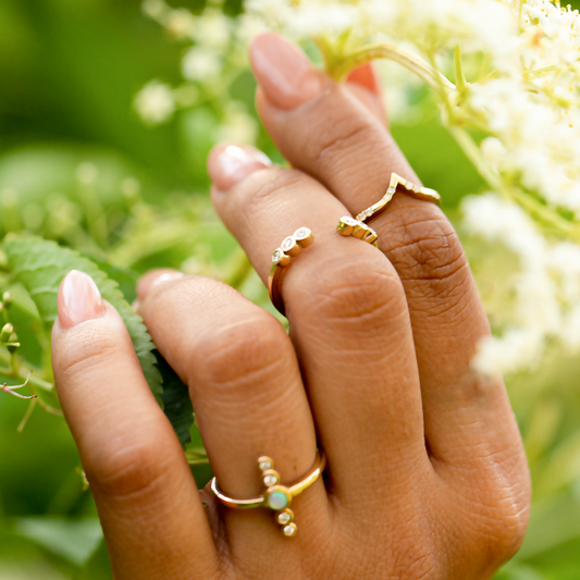 GAIA Collection THEIA PHOIBE ATLAS Product